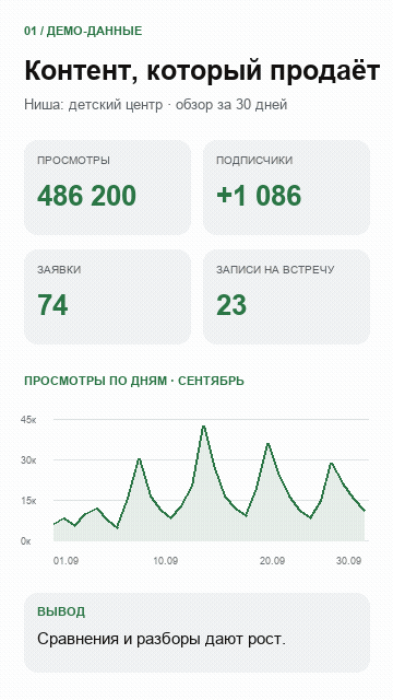 Пример рабочего обзора с нейтральными формулировками